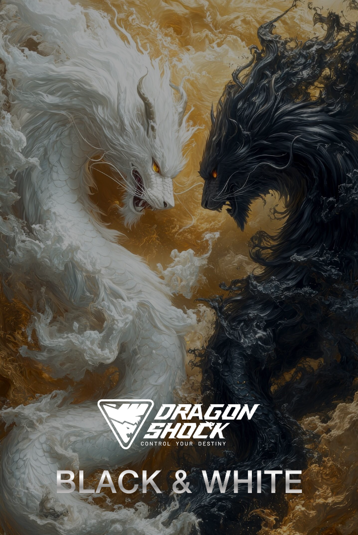 Image showing the logo and the controller model with two dragons in the background. One is white and the other is black and they look at each other face to face as if they were fighting.